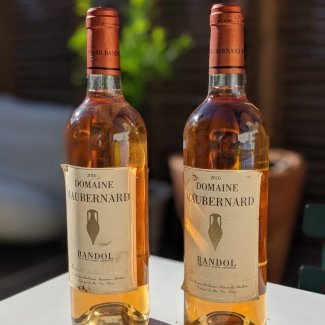 PXL_20220609_070158858.PORTRAIT AdobeStock_323761608