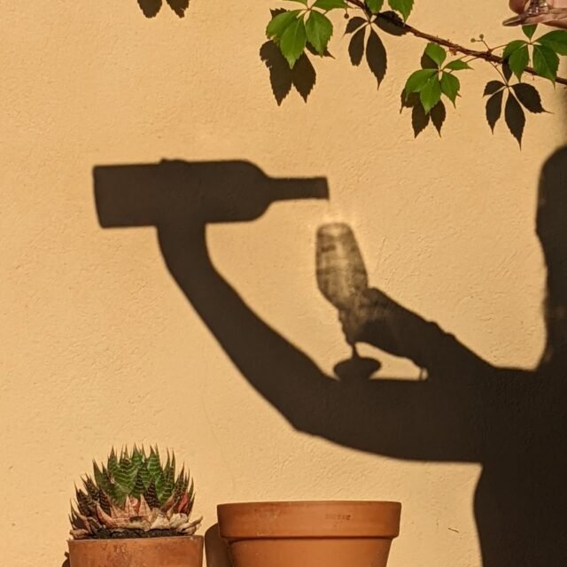 PXL_20220827_164039498 AdobeStock_228153661