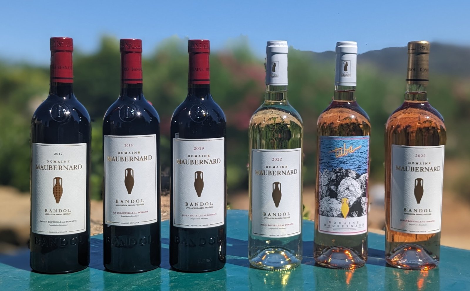 Domaine viticole près de Bandol : l’amour du bon vin, la passion du métier Domaine viticole près de Bandol : l’amour du bon vin, la passion du métier